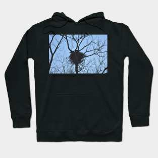 Eagles in Nest Hoodie